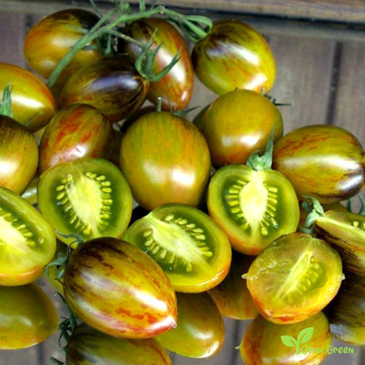 10 seeds of Brad's Atomic Grape Tomato - SOLANUM LYCOPERSICUM + Gift 5 seeds Sunflower