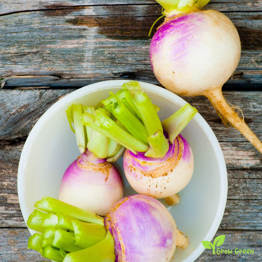 50 seeds of Turnip Veitches - BRASSICA RAPA + Gift 5 seeds of Sunflower