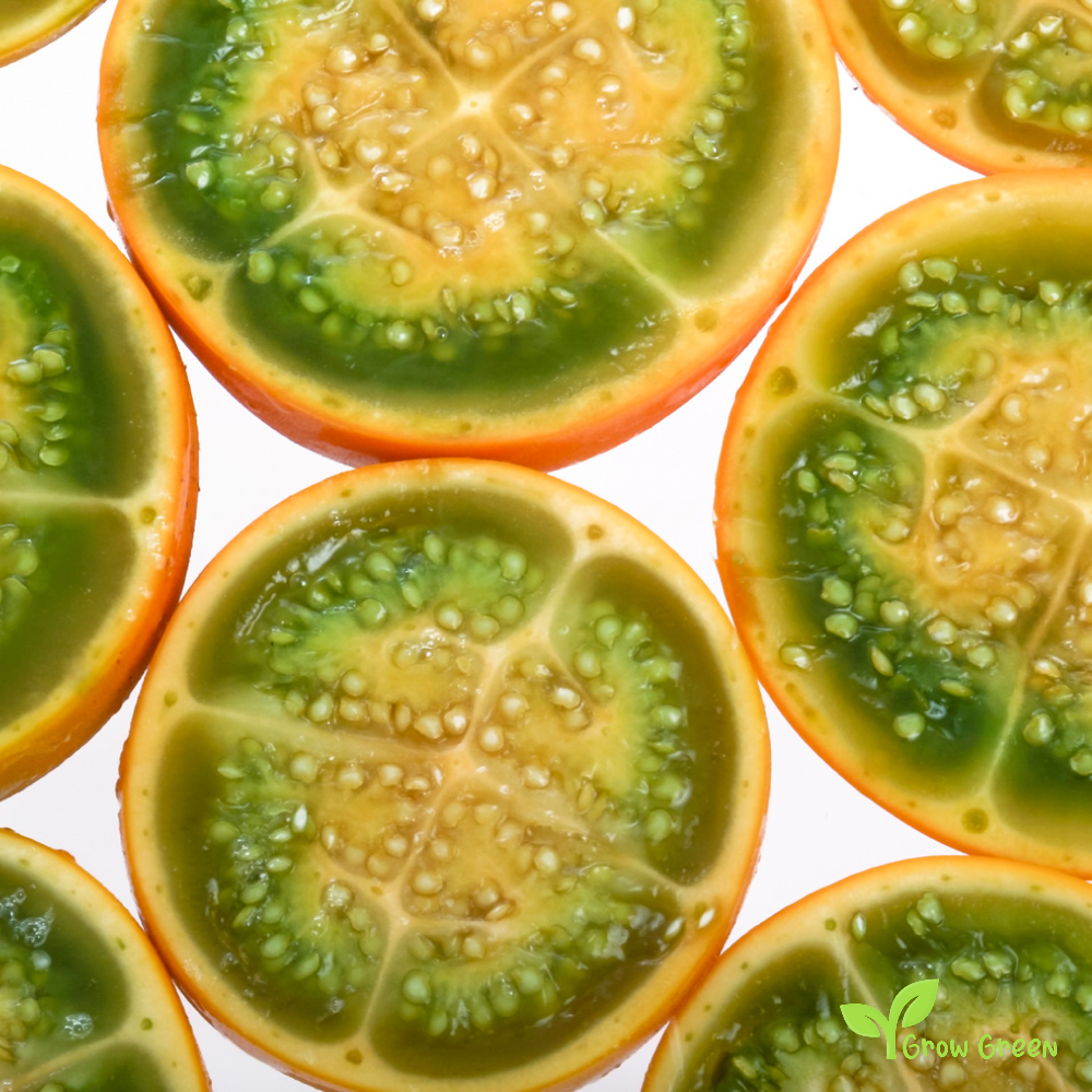 10 seeds of Lulo - SOLANUM QUITOENSE - Naranjilla + Gift 5 seeds of Sunflower