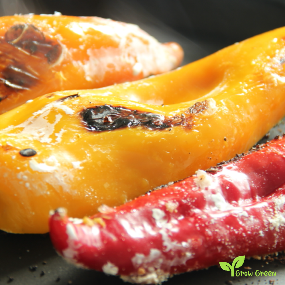 20 seeds of Orange Sweet Long Pepper - CAPSICUM ANNUUM - Mild + Gift 5 seeds of Sunflower