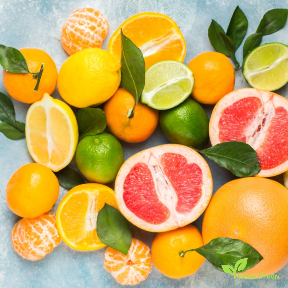 10 seeds of Mixed Citrus - 5x2pcs Each Variety Tree + Gift 5 seeds of Sunflower