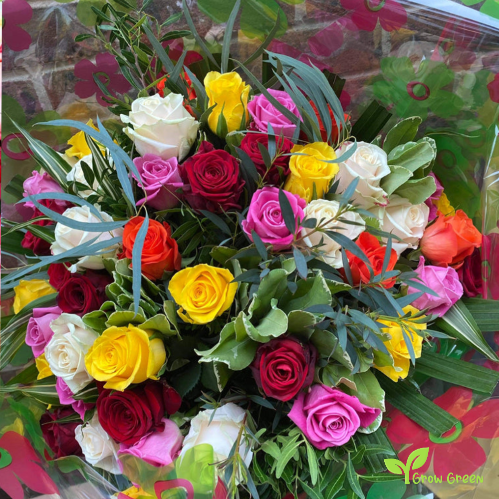 40 seeds of mixed random colour Rose - ROSA + Gift 5 seeds of Sunflower