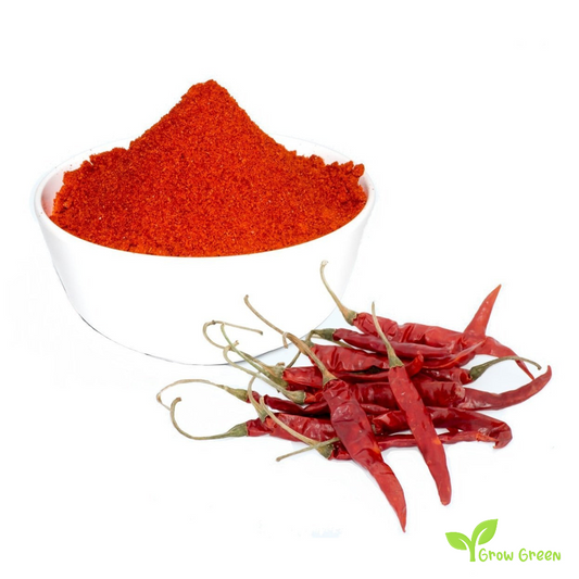 10 seeds of Kashmiri Chilli Pepper - CAPSICUM ANNUUM + Gift 5 seeds of Sunflower