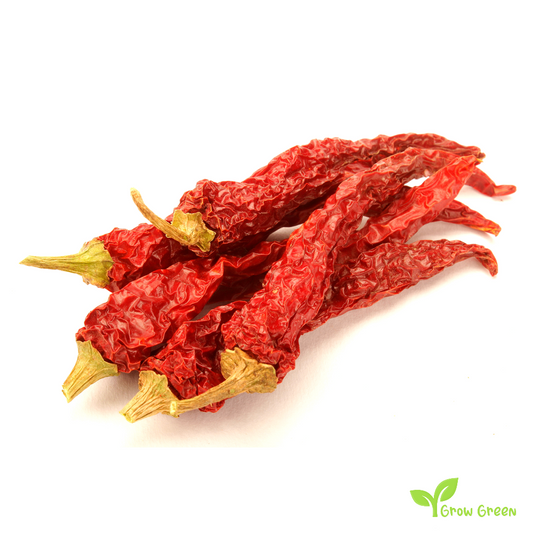 10 seeds of Kashmiri Chilli Pepper - CAPSICUM ANNUUM + Gift 5 seeds of Sunflower