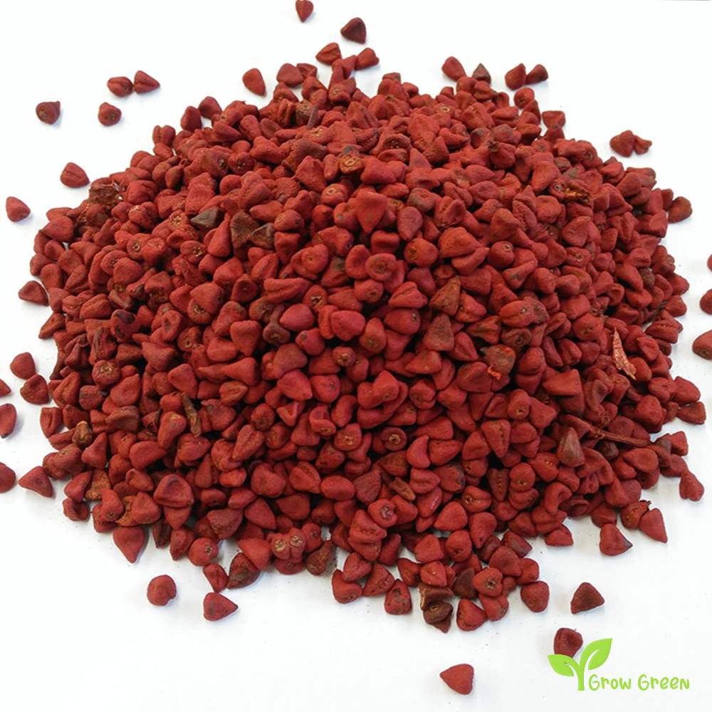 10 seeds of Anatto - BIXA ORELLANA - Lipstick Tree + Gift 5 seeds of Sunflower