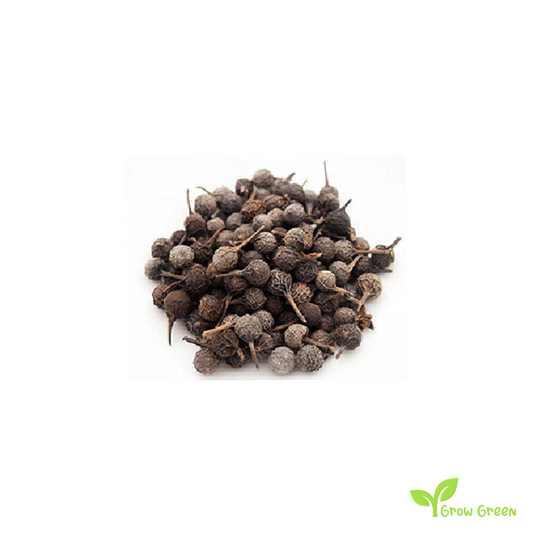 10 seeds of False Black Pepper - EMBELIA RIBES - White Flowered + Gift 5 seeds of Sunflower