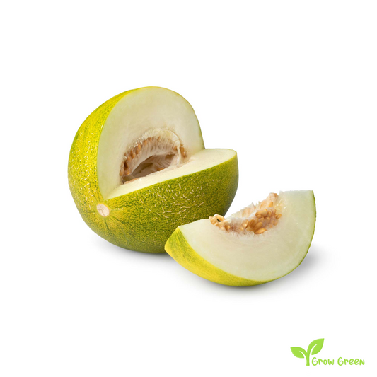 10 seeds of Limelon - CUCUMIS MELO + Gift 5 seeds of Sunflower