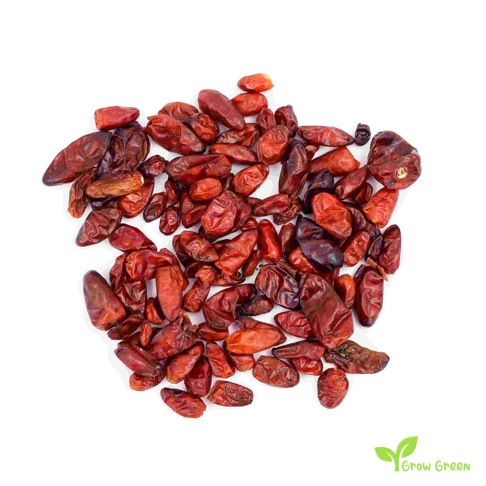 10 seeds of Pequin Chilli Pepper - CAPSICUM ANNUUM - Piquin + Gift 5 seeds of Sunflower