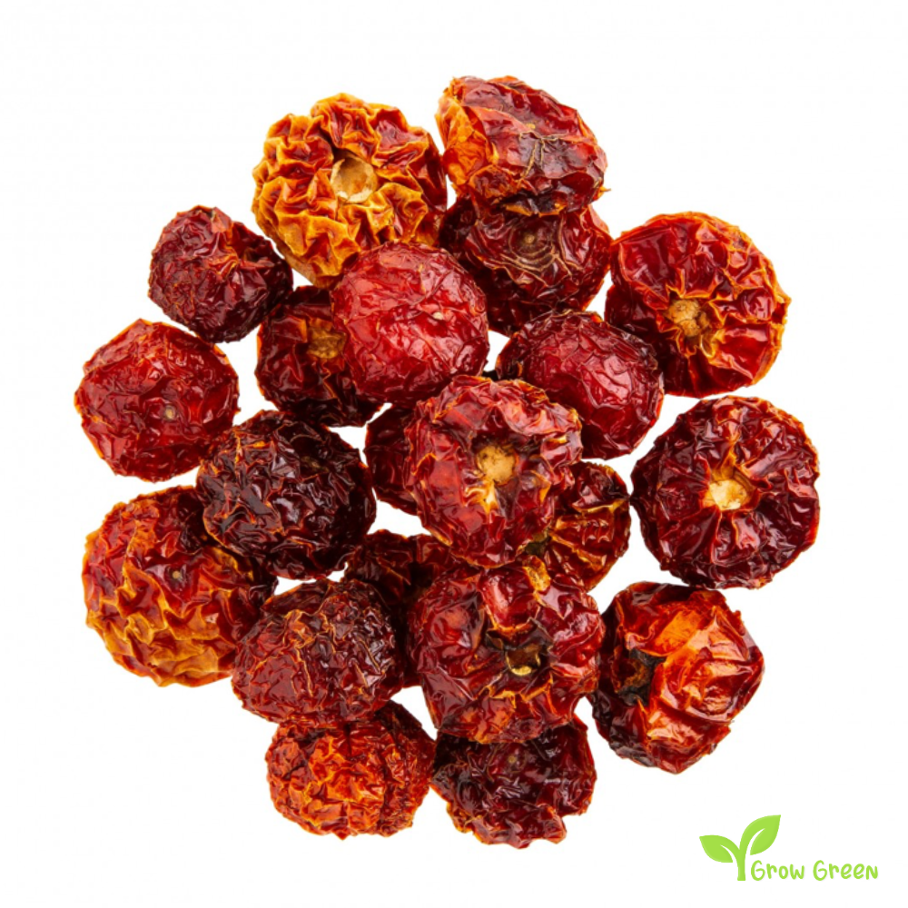 10 seeds of Thai Dragon Green Chilli Pepper - CAPSICUM ANNUUM + Gift 5 seeds of Sunflower