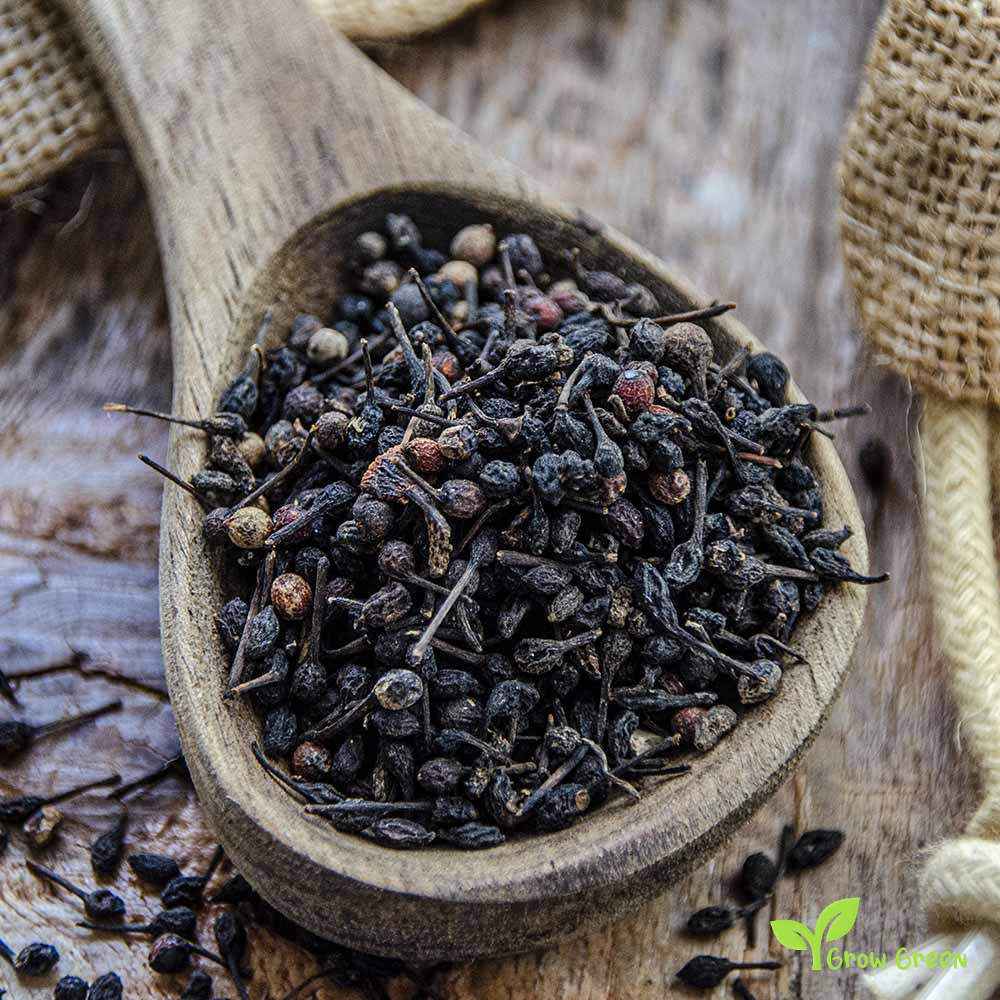 10 seeds of Voatsiperifery Pepper - PIPER BORBONENSE + Gift 5 seeds of Sunflower