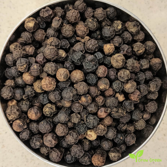 10 seeds of Kampot Pepper - PIPER NIGRUM + Gift 5 seeds of Sunflower