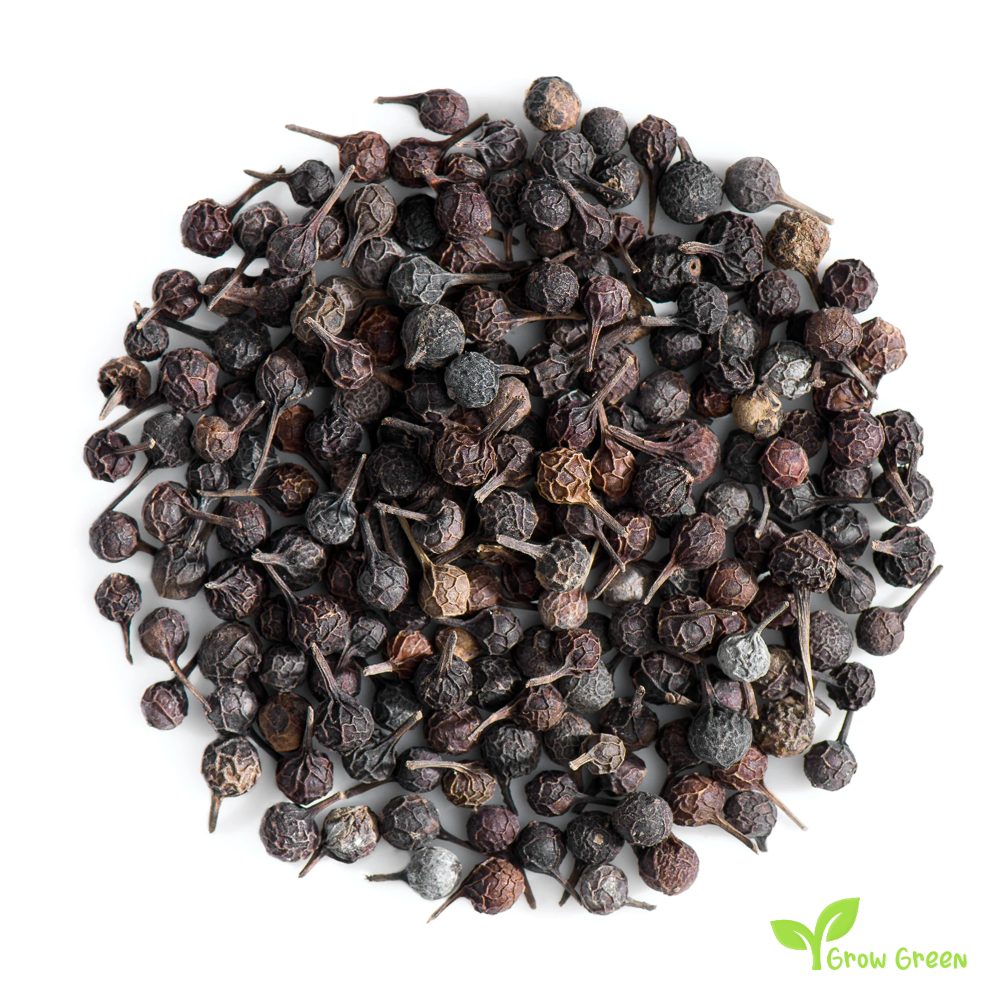 10 seeds of Piper Cubeb Pepper - PIPER CUBEBA - Tiled Pepper + Gift 5 seeds of Sunflower