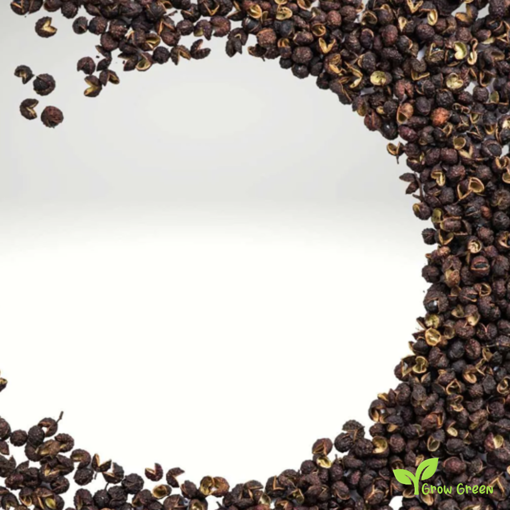 10 seeds of Nepalese Timur Pepper - ZANTHOXYLUM ARMATUM + Gift 5 seeds of Sunflower