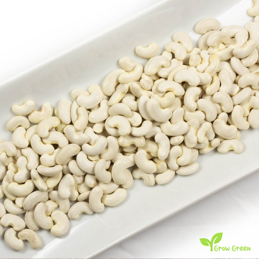 20 seeds of Mongeta del Ganxet Beans - PHASEOLUS VULGARIS + Gift 5 seeds of Sunflower