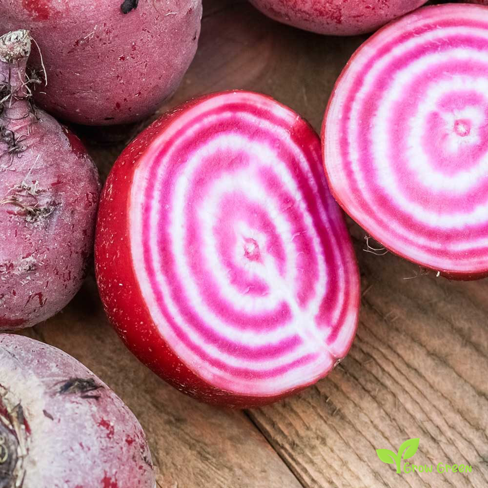 30 seeds of Beetroot Chioggia - BETA VULGARIS + Gift 5 seeds of Sunflower