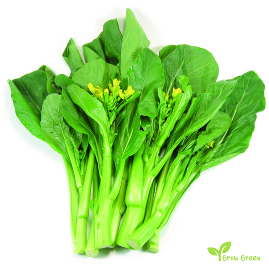 20 seeds of Choy Sum - BRASSICA RAPA + Gift 5 seeds of Sunflower