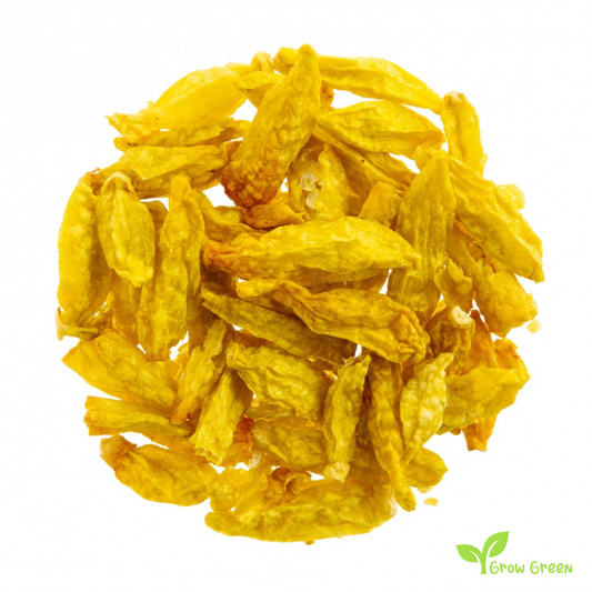 10 seeds of Yellow Amazon Chilli Pepper - CAPSICUM ANNUUM + Gift 5 seeds of Sunflower