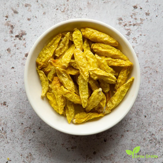 10 seeds of Yellow Amazon Chilli Pepper - CAPSICUM ANNUUM + Gift 5 seeds of Sunflower