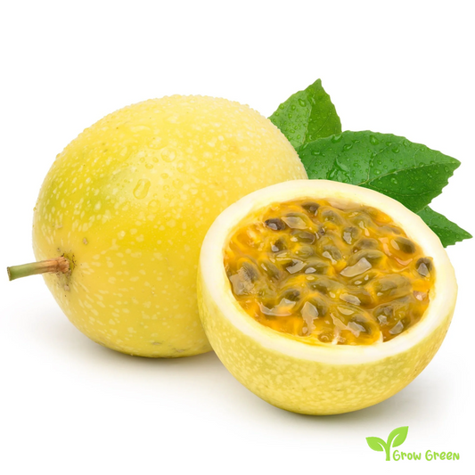 20 seeds of Maracuya - YELLOW PASSIFLORA - Passion Fruit + 5 seeds Sunflower