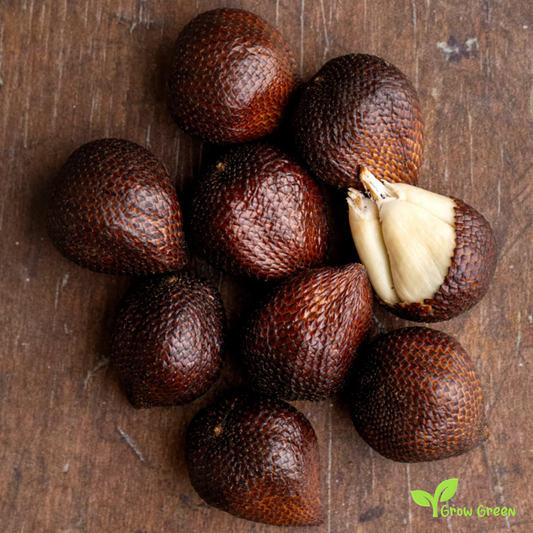 1 seeds of Snake Fruit - SALACCA ZALACCA - Salak + 5 seeds Sunflower