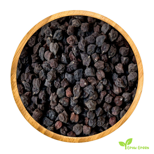 15 seeds of Black Chickpea - CICER ARIETINUM + Kala chana + 5 seeds Sunflower