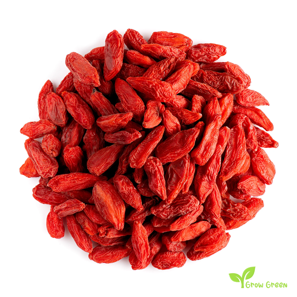 15 seeds of Goji - LYCIUM BARBARUM - Wolf Berry - Plus 5 seeds of Sunflower