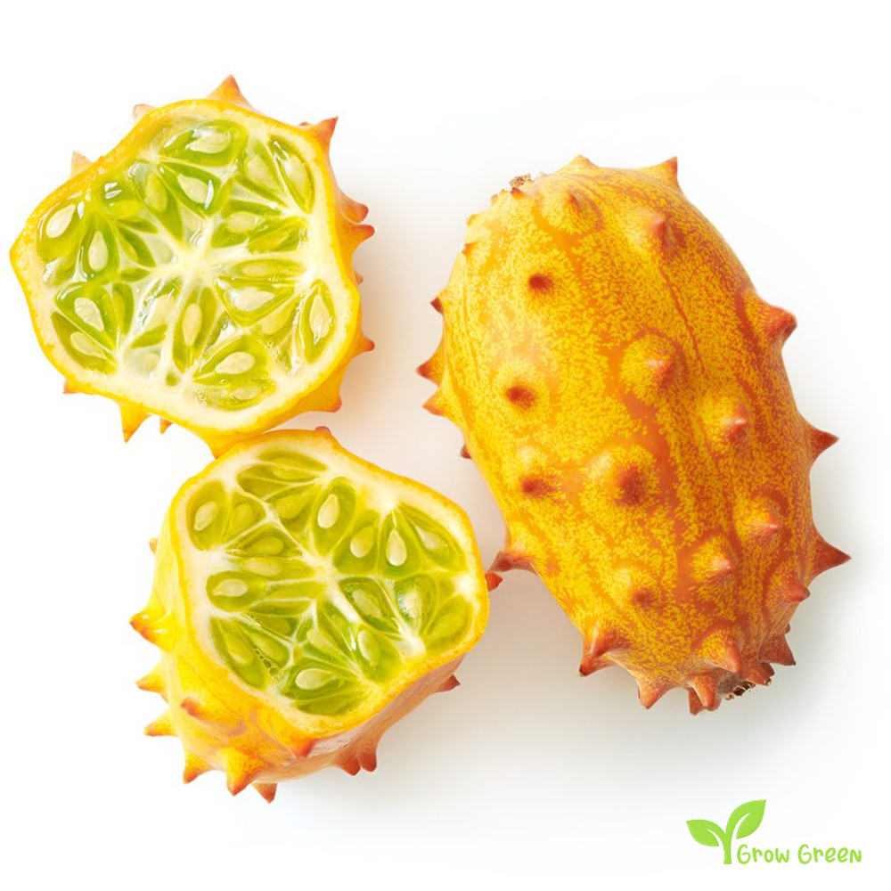 15 seeds Kiwano - CUCUMIS METULIFERUS - Jelly Melon + 5 seeds Sunflower