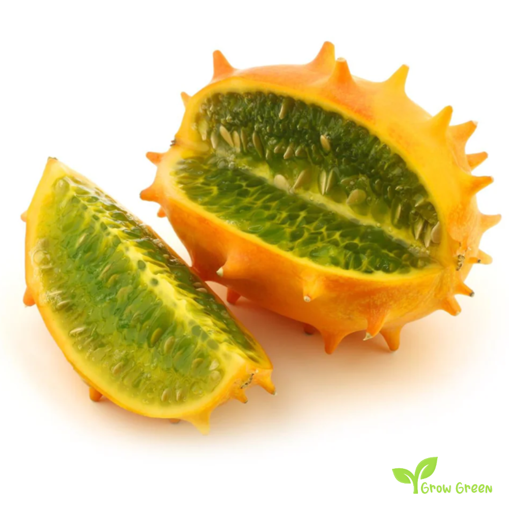 15 seeds Kiwano - CUCUMIS METULIFERUS - Jelly Melon + 5 seeds Sunflower
