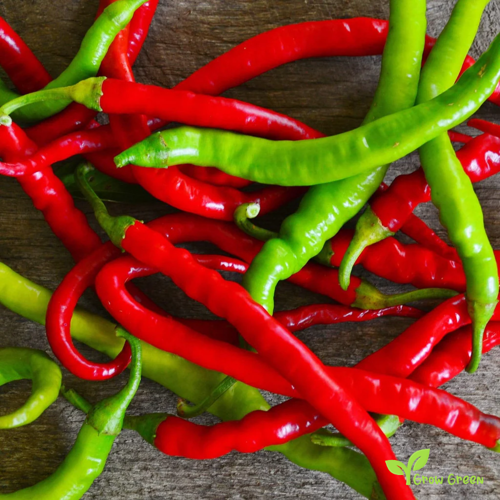 10 seeds of Pepper Sivri - CAPSICUM ANNUUM - Biber + 5 seeds of Sunflower