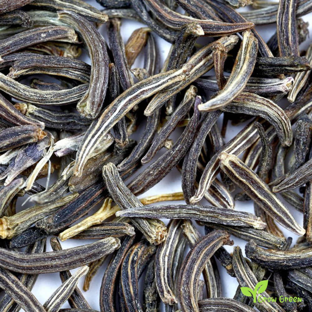 100 seeds of Black Cumin - CUMINUM CYMINUM + 5 seeds of Sunflower