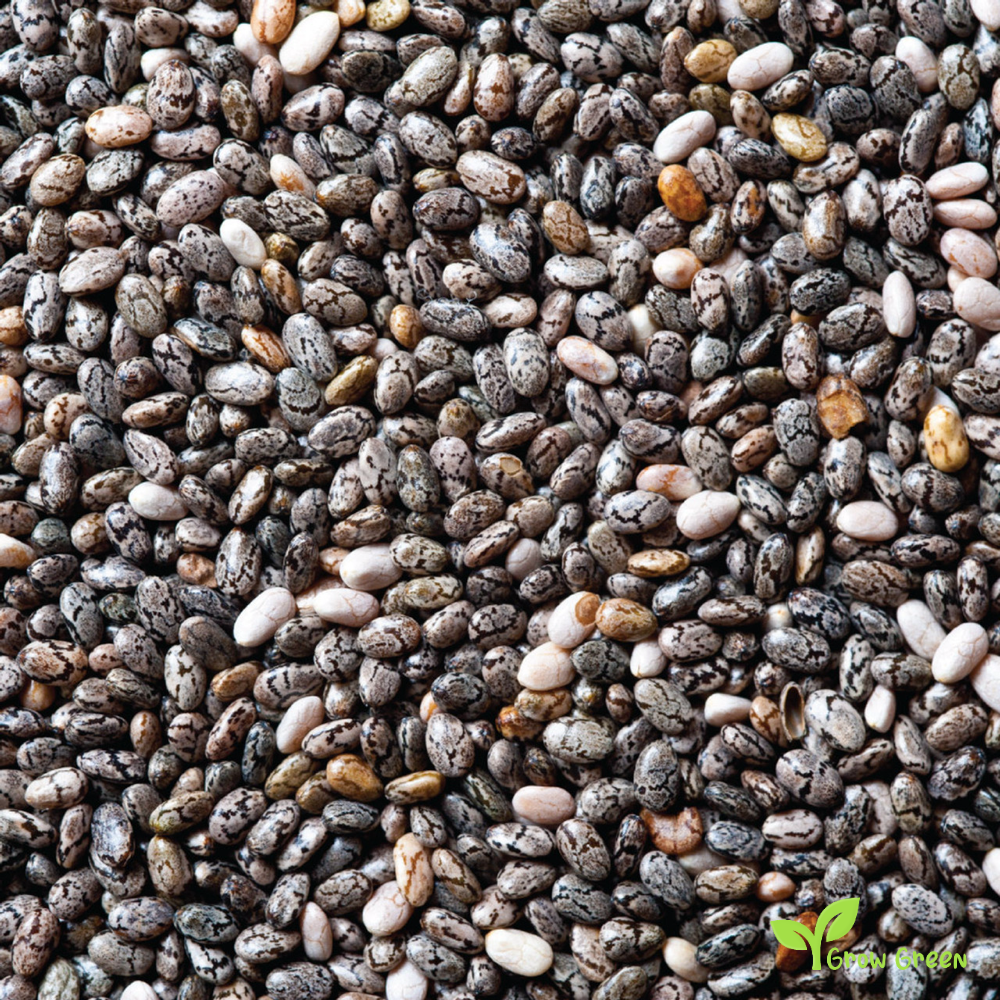 100 seeds of Black Chia - SALVIA HISPANICA + 5 seeds of Sunflower