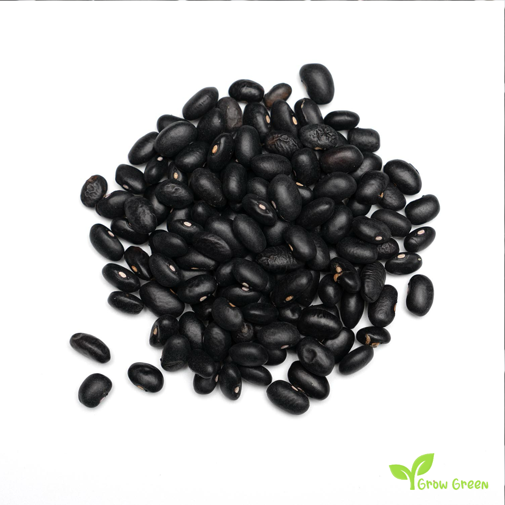 100 seeds of Black Turtle Bean - PHASELOUS VULGARIS + 5 seeds of Sunflower