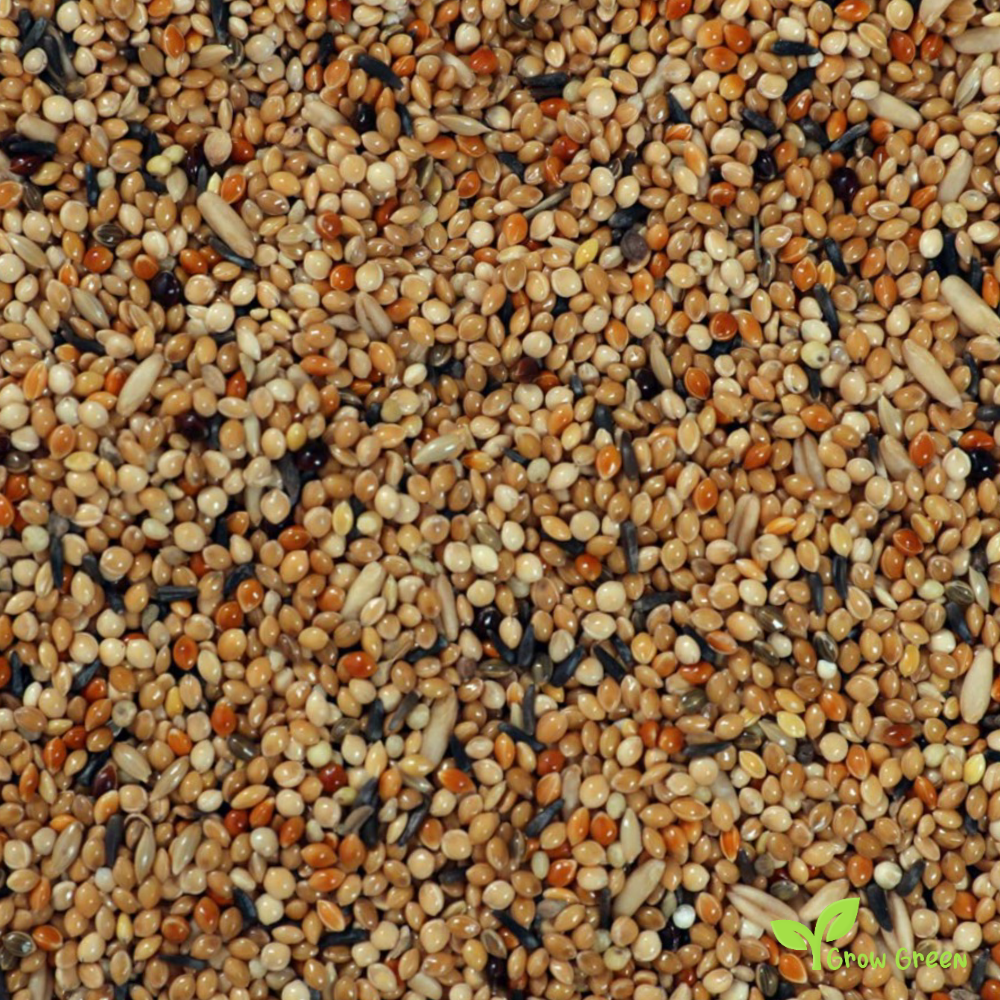 100 seeds of Budgie Seeds Mix + 5 seeds of Sunflower