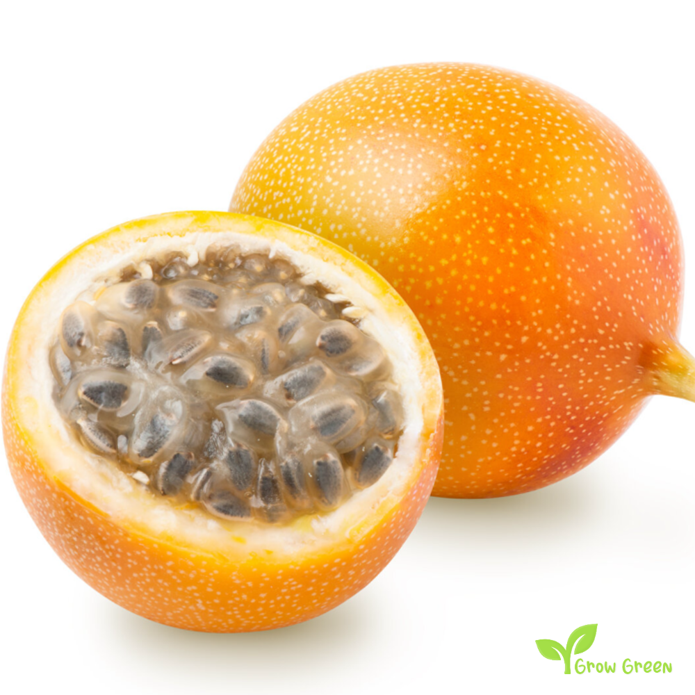 20 seeds Granadilla - PASSIFLORA LIGULARIS - Passion Fruit + 5 seeds Sunflower
