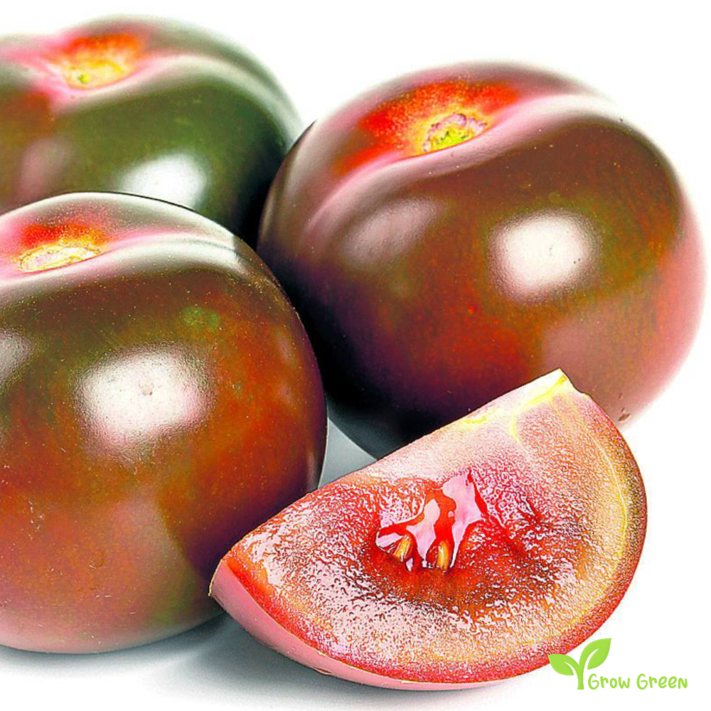 10 seeds Kumato Tomato - SOLANUM LYCOPERSICUM + 5 seeds of Sunflower