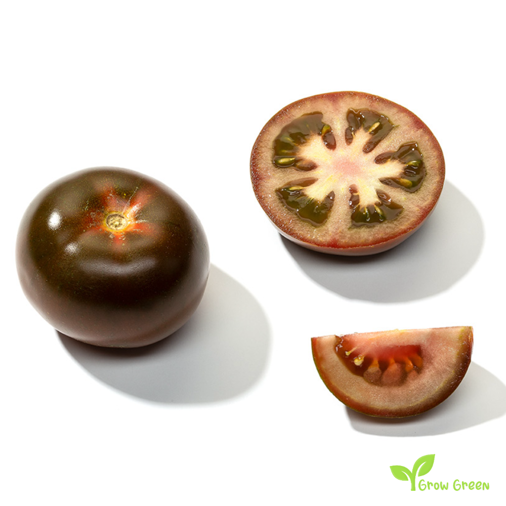 10 seeds Kumato Tomato - SOLANUM LYCOPERSICUM + 5 seeds of Sunflower