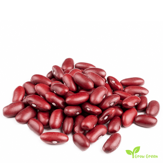 50 seeds of Kidney Bean - PHASEOLUS VULGARIS + 5 seeds of Sunflower