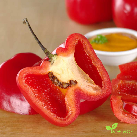 5 seeds of Rocoto Chilli Pepper CAPSICUM PUBESCENS Black Seeds + Gift 5 seeds Sunflower