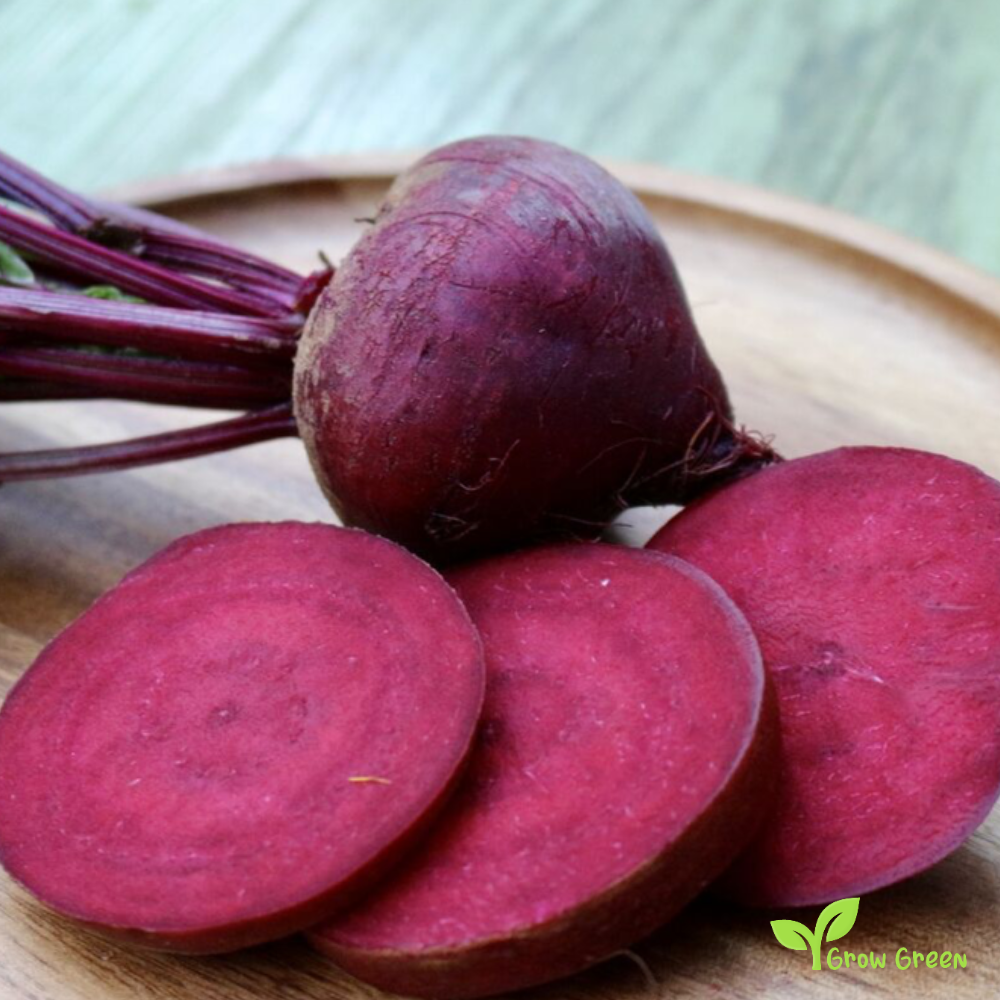 50 seeds of Beetroot Boltardy - BETA VULGARIS + Gift 5 seeds Sunflower