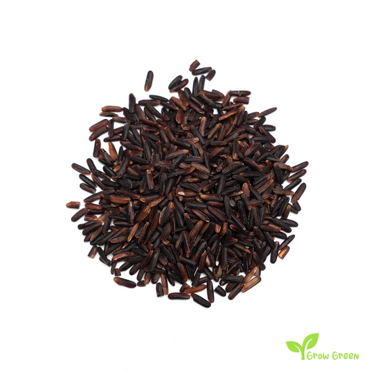 30 seeds of Black Rice - ORYZA SATIVA + Gift 5 seeds Sunflower