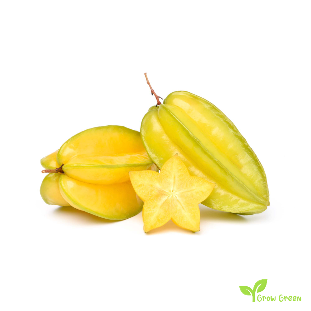 2 seeds of Star Fruit - AVERRHOA CARAMBOLA - Starfruit + Gift 5 seeds Sunflower