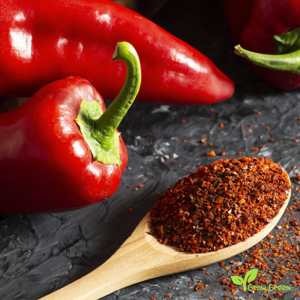 10 seeds of Red Capya Pepper - CAPSICUM ANNUUM - Kapia Pepper + Gift 5 seeds of Sunflower