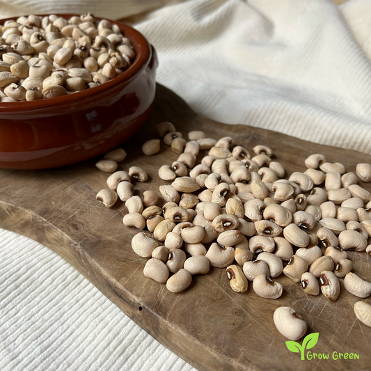 25 seeds of Cyprus Black Eyed Bean - PHASEOLUS - Goat Pea + Gift 5 seeds of Sunflower