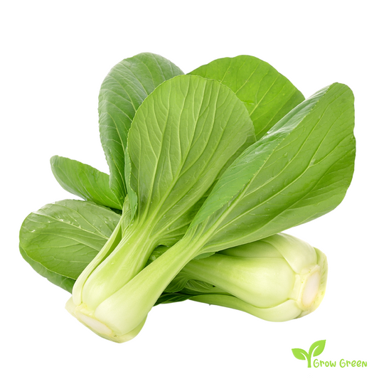 50 seeds of Pak Choi - BRASSICA RAPA - Bok Choy - Pok Choi + Gift 5 seeds of Sunflower
