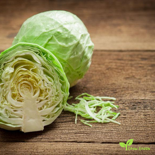 50 seeds White Cabbage - BRASSICA OLERACEA + 5 seeds of Sunflower
