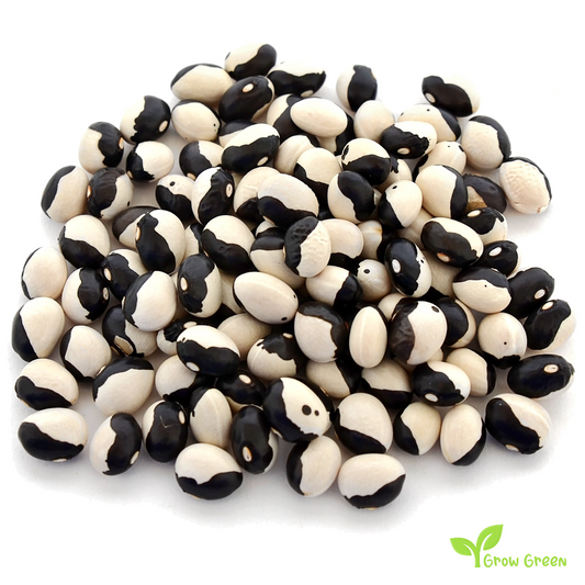 3 seeds of Orca Bean 3 SEEDS - PHASEOLUS VULGARIS - Ying Yang - Pickle + Gift 5 seeds of Sunflower