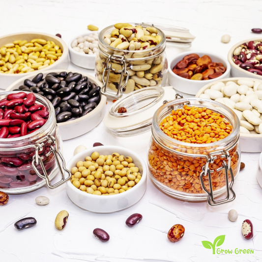 3 seeds of Orca Bean 3 SEEDS - PHASEOLUS VULGARIS - Ying Yang - Pickle + Gift 5 seeds of Sunflower