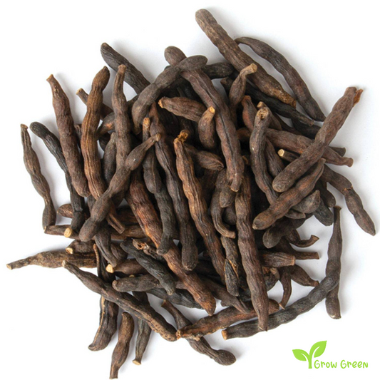 5 seeds of Selim Pepper - XYLOPIA AETHIOPICA - African Pepper + Gift 5 seeds of Sunflower