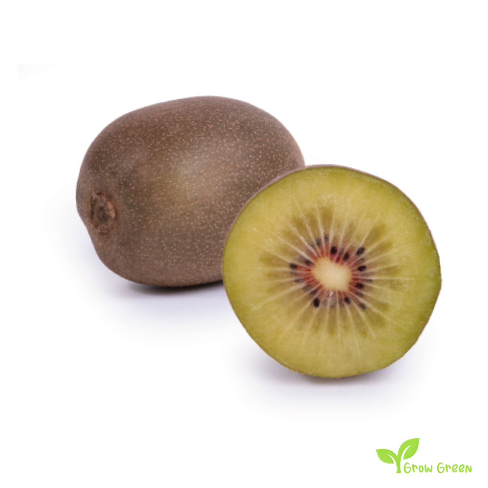 5 seeds of Red Kiwi Fruit - ACTINIDIA CHINENSIS DELICIOSA + Gift 5 seeds of Sunflower