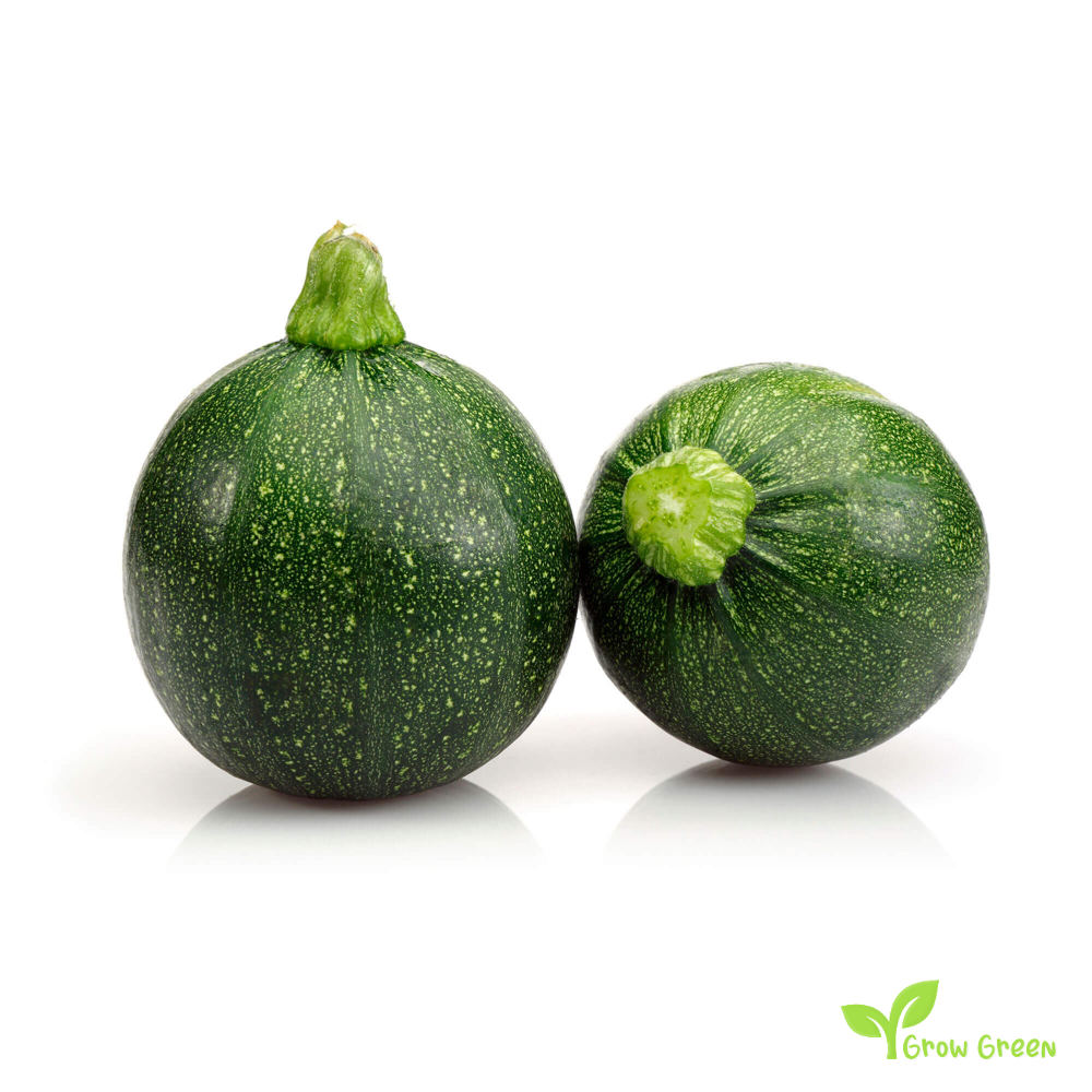 2 seeds of Round Zucchini Courgette - CUCURBITA PEPO - Tondo Piacenza + Gift 5 seeds of Sunflower